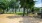 Dog Park 